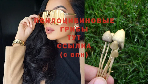 тгк Армянск