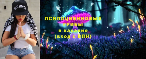 тгк Армянск