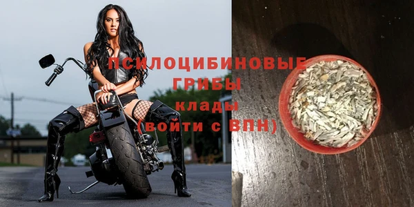 гашиш Аркадак