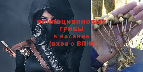 крисы Арсеньев